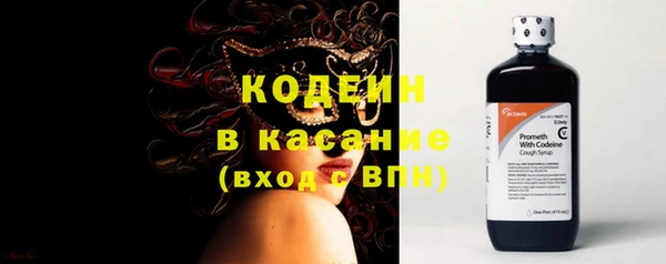 прущие грибы Новозыбков