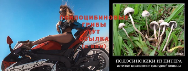 спиды Нея