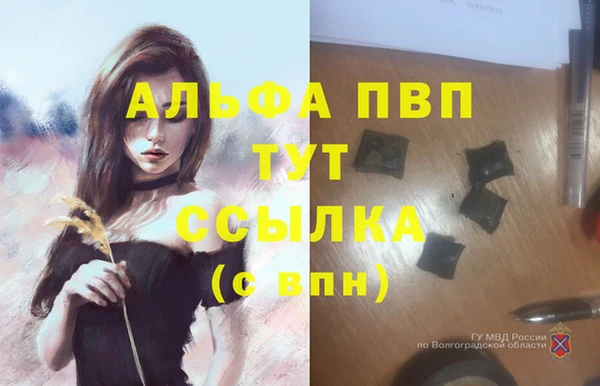 эйфоретик Нефтекумск