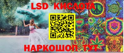 Альфа ПВП Камышлов