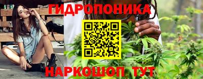 Альфа ПВП Камышлов