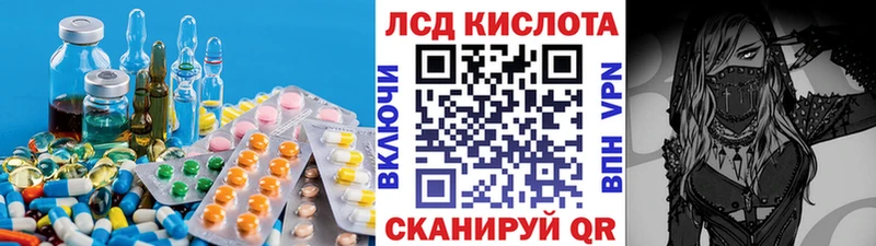 дарк нет наркотические препараты  Полевской  ЛСД экстази кислота 