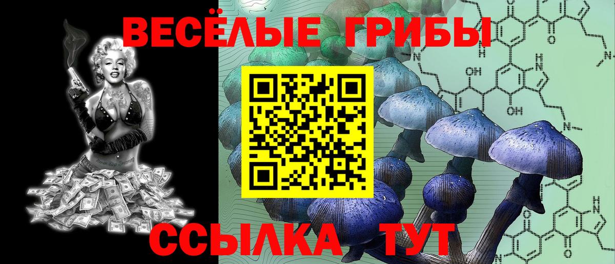 Галлюциногенные грибы мухоморы Полевской