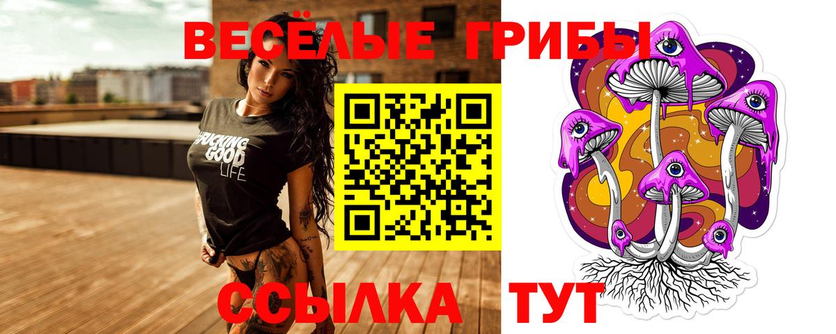 Галлюциногенные грибы MAGIC MUSHROOMS  Вход с VPN  Полевской 